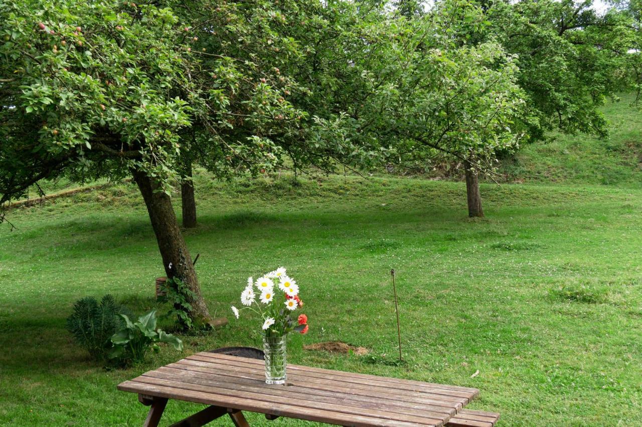 La Petite Maison O Bord De L'Eau Bernieres-le-Patry Dış mekan fotoğraf